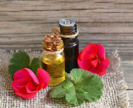 Geranium-Oil- Pakistan cosmetics