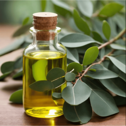 Eucalyptus Essential Oil