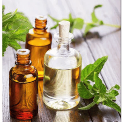 Winter Green Essential Oil