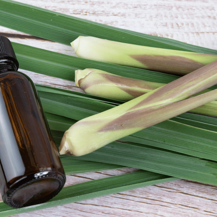 Citronella Essential Oil